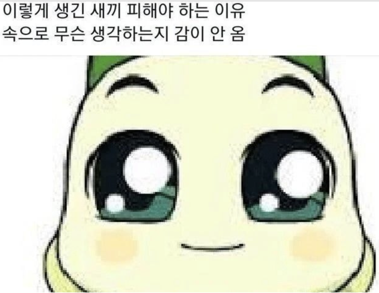 맑눈광