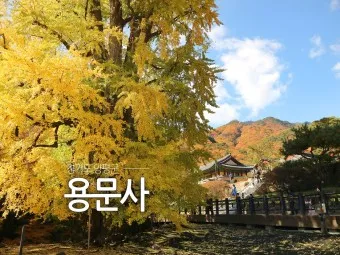 양평 가볼만한곳 베스트10 현지인 추천 필수코스_25