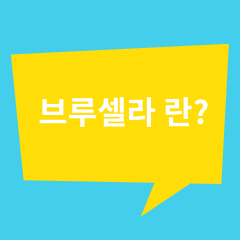  브루셀라병이란 무엇인가? (feat. 또 중국발 전염병)