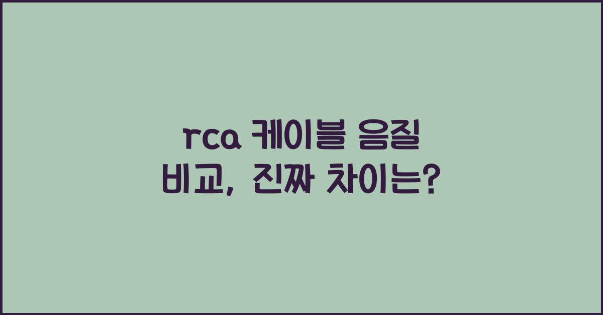 rca 케이블 음질 비교