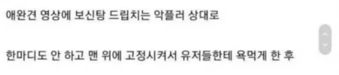 악플 대처 갑이라는 신세경 멘탈 ㄷㄷ 3