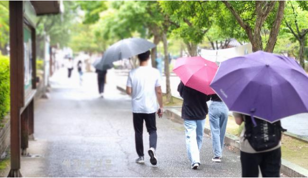 (주)단비 이미지