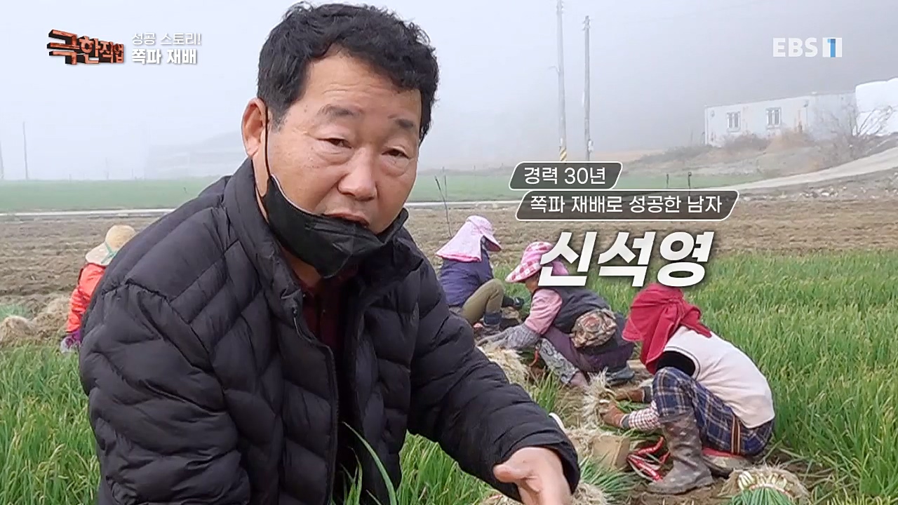 TV - 교육의 중심 EBS성공 스토리! 쪽파 재배와 과일 도매.mp4_20221209_201430.204.jpg