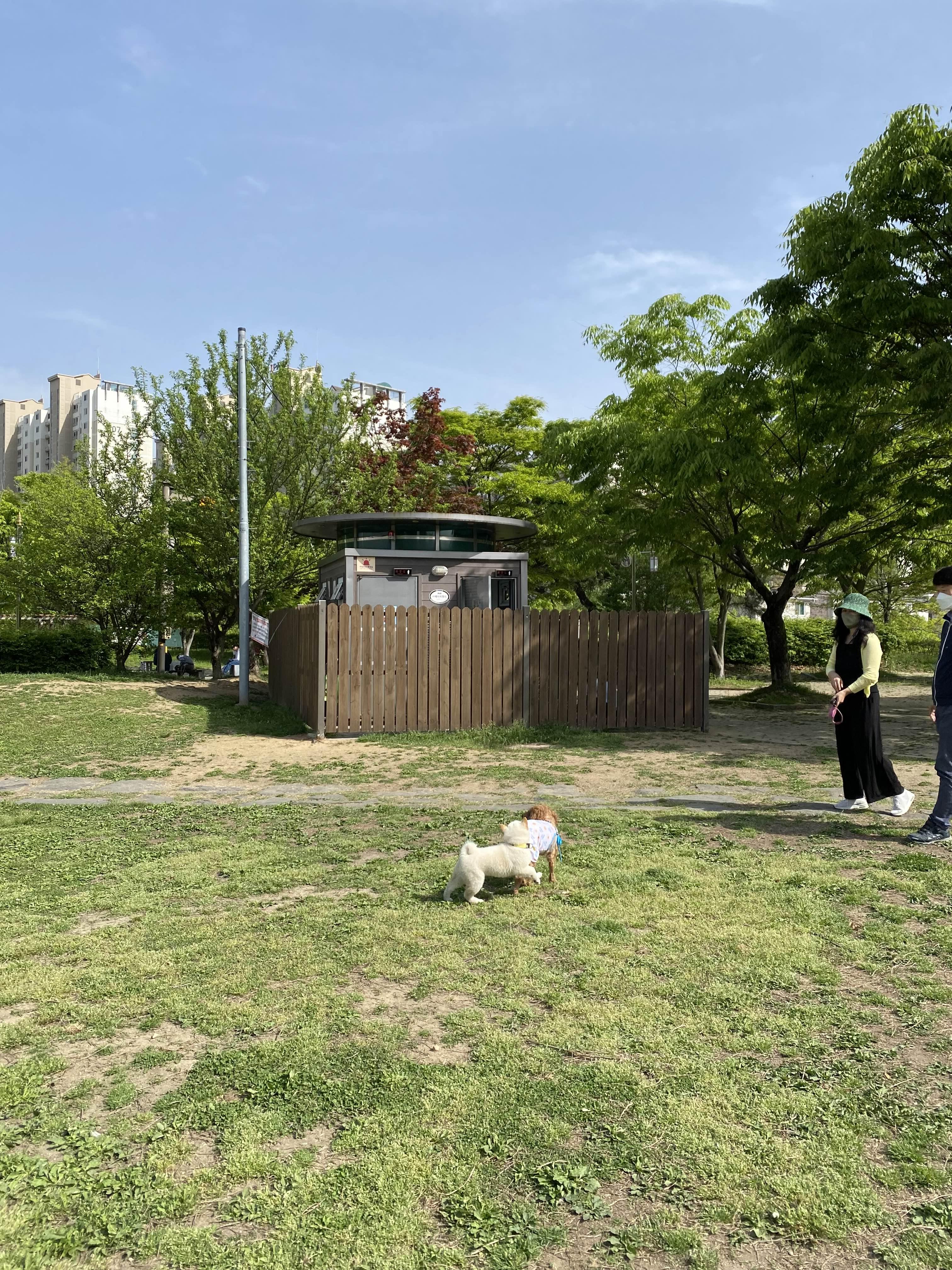 alt 태그