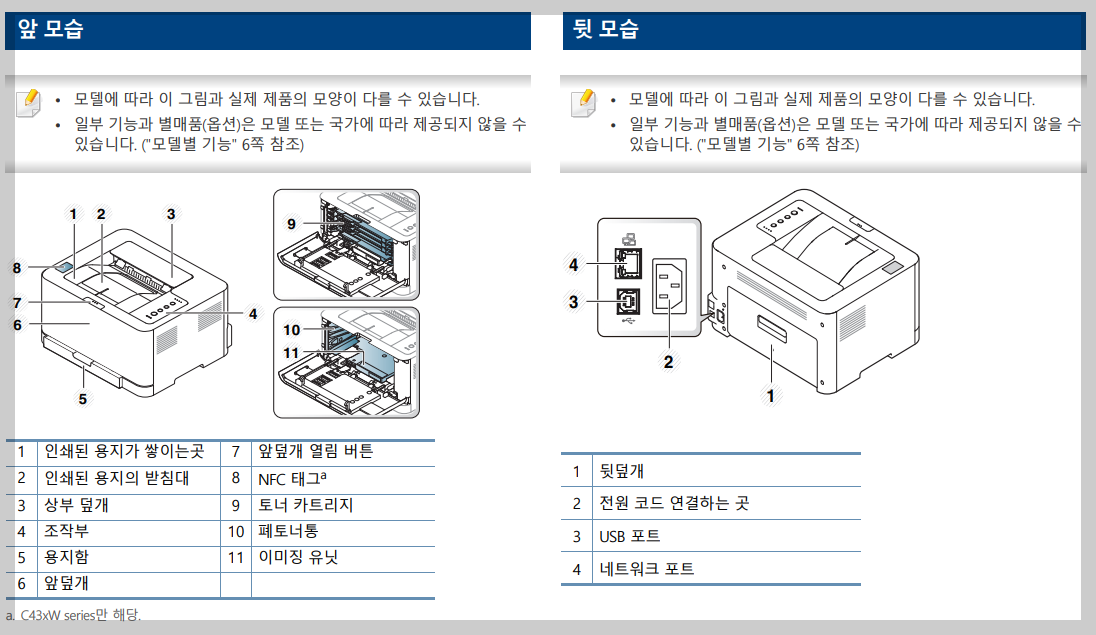 앞모습 및 뒷모습