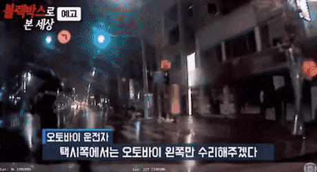  역대급 무단횡단