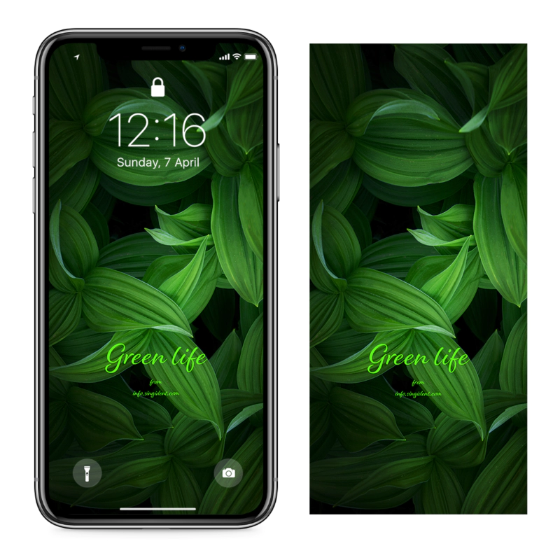 08 초록색 이파리들 C - Green life 아이폰초록색배경화면