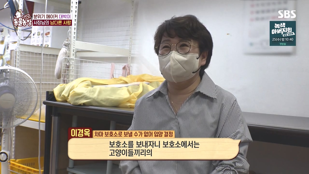 TV 동물농장.E1141.231016p-NEXT.mp4_20231015_174124.776.jpg