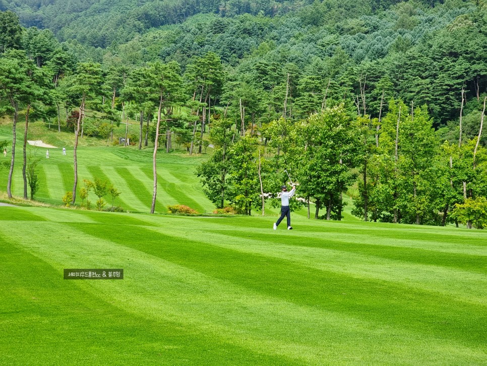 골프에 반하다 세이지우드홍천cc 골프에 반하다촬영지 25