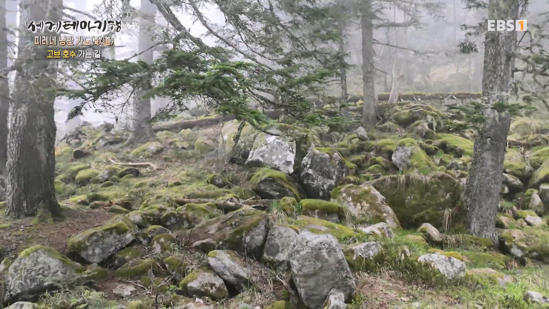 세계테마기행 231225 피레네 낭만 가도(歌道) -요정의 길을 따라, 비뉴말 트레킹0p.mp4_20240628_205012.518.jpg