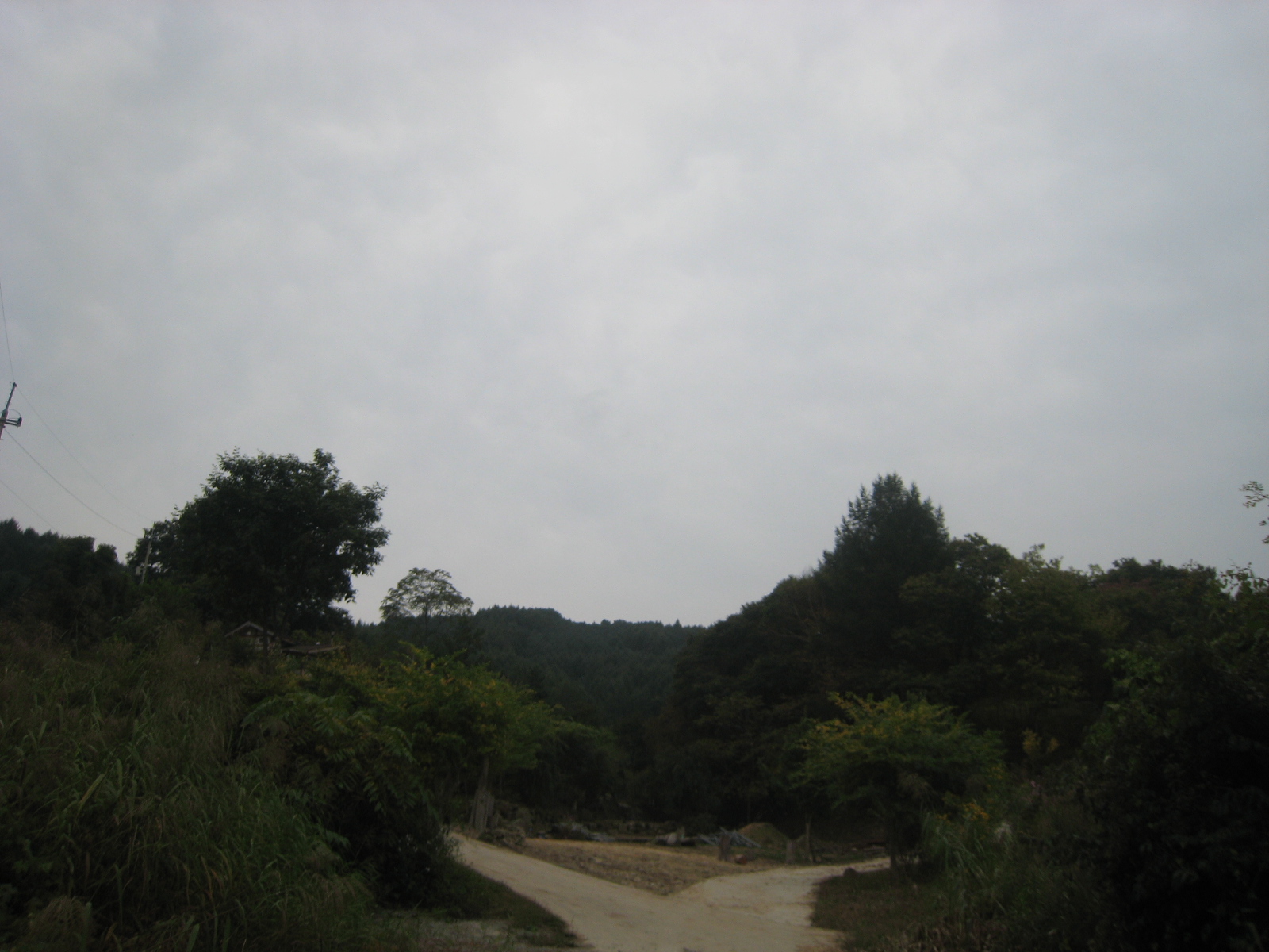 상원조경 이미지