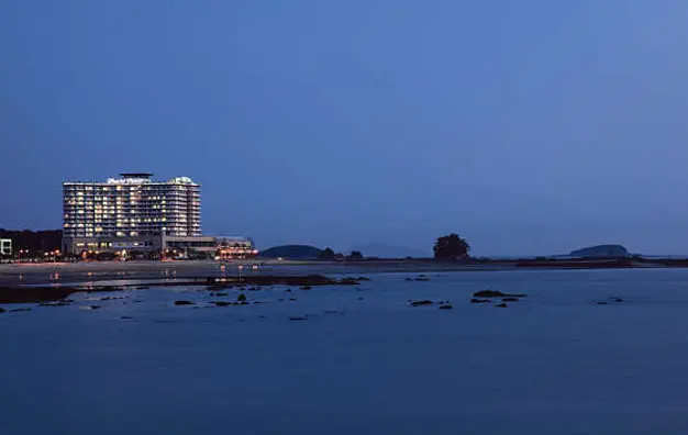 비체팰리스