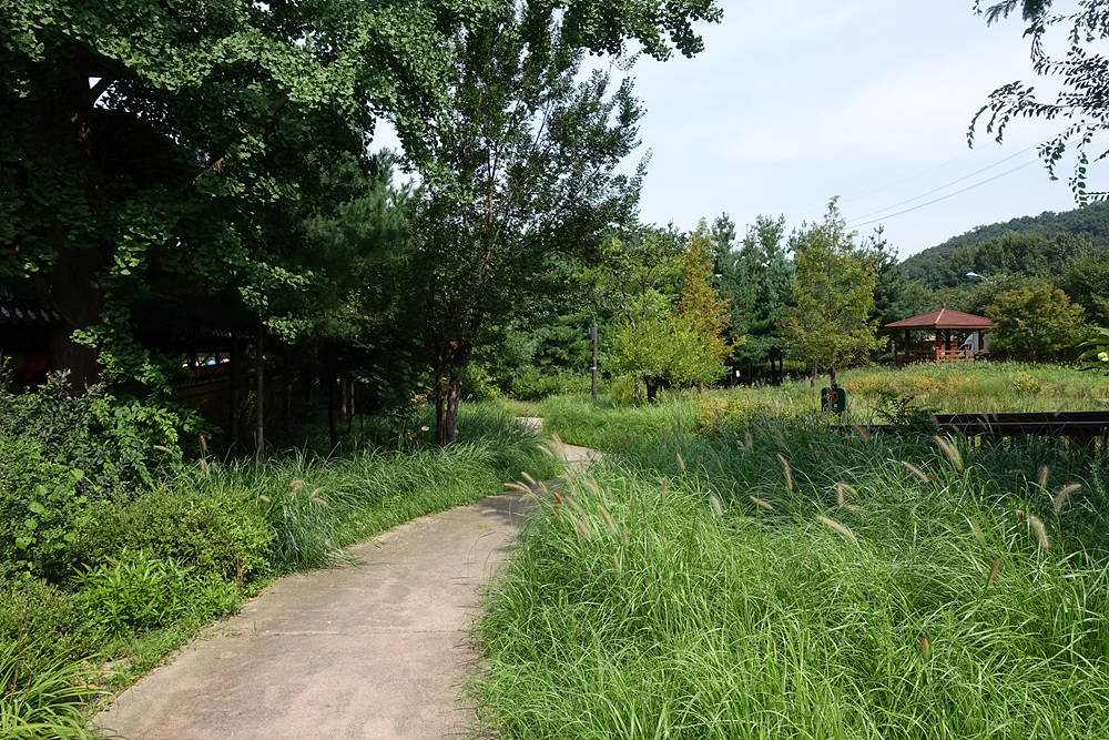  극락사 (중랑구 망우동)