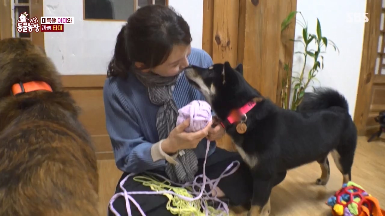 TV 동물농장.E1168.240422p-NEXT.mp4_20240421_170934.498.jpg