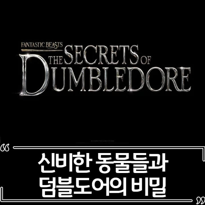  신비한 동물들과 덤블도어의 비밀 후기 줄거리 리뷰