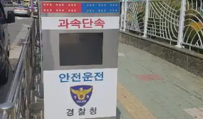 교통위반 단속 4