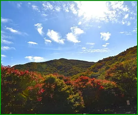 서울 근교 단풍 명소