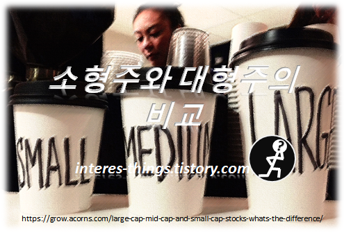  소형주와 대형주의 비교