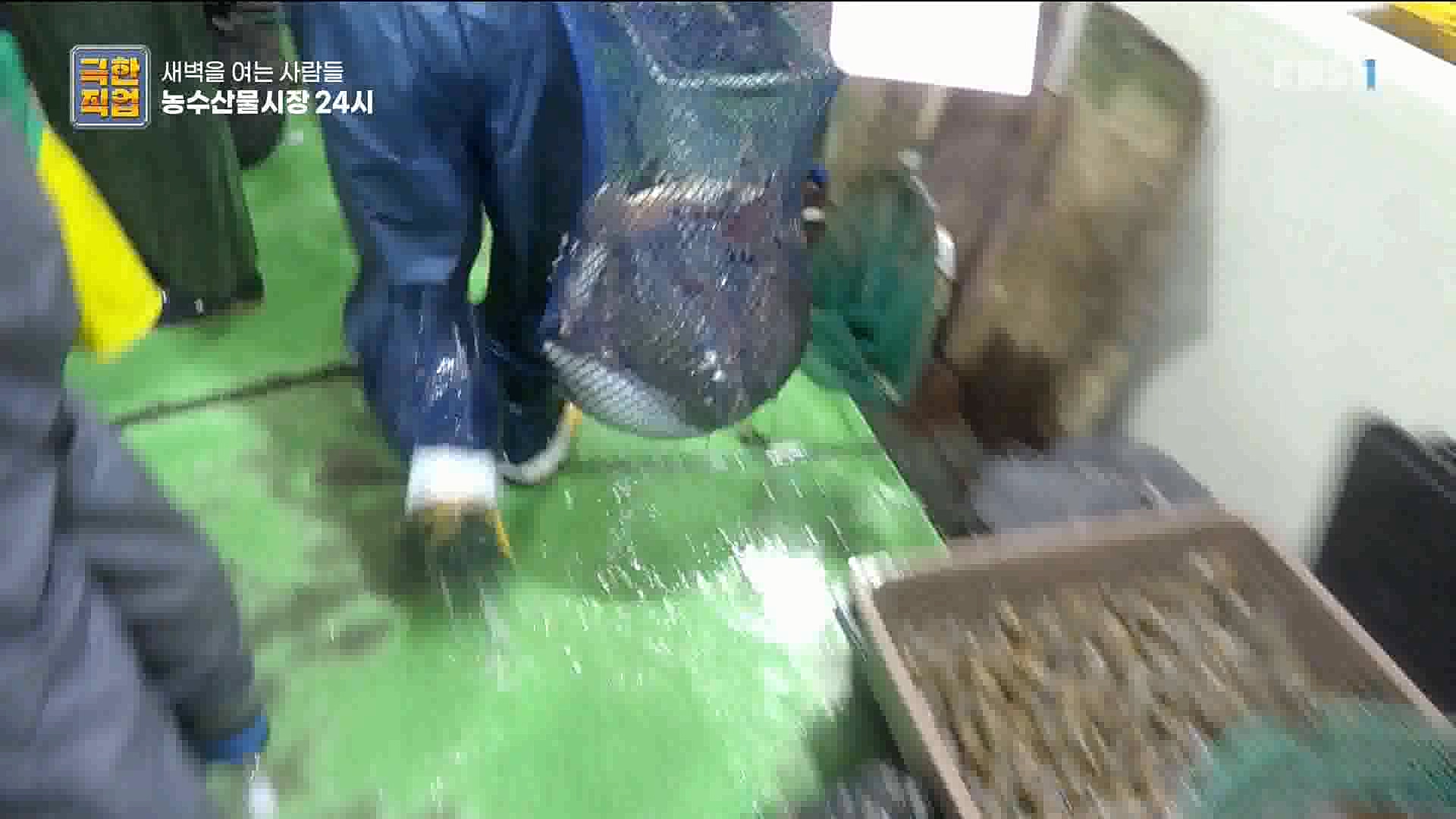 농수산물 시장 24시.mp4_20221020_161646.006.jpg