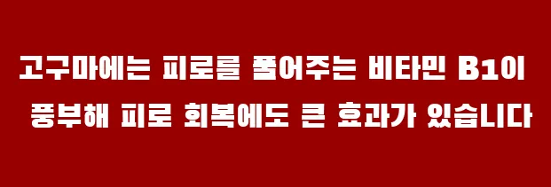 고구마에는 피로를 풀어주는 비타민 B1이 풍부해 피로 회복에도 큰 효과가 있습니다