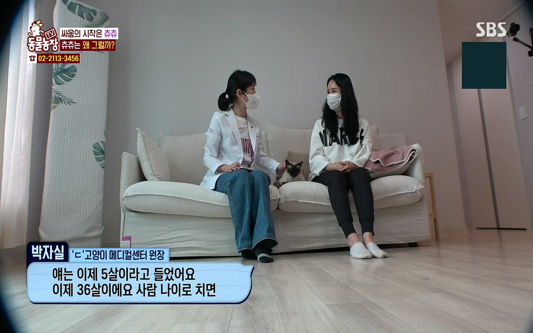 TV 동물농장.E1067.220501p.H264-F1RST.mp4_20220501_182802.860.jpg
