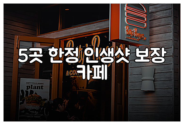 5곳 한정 인생샷 보장 카페
