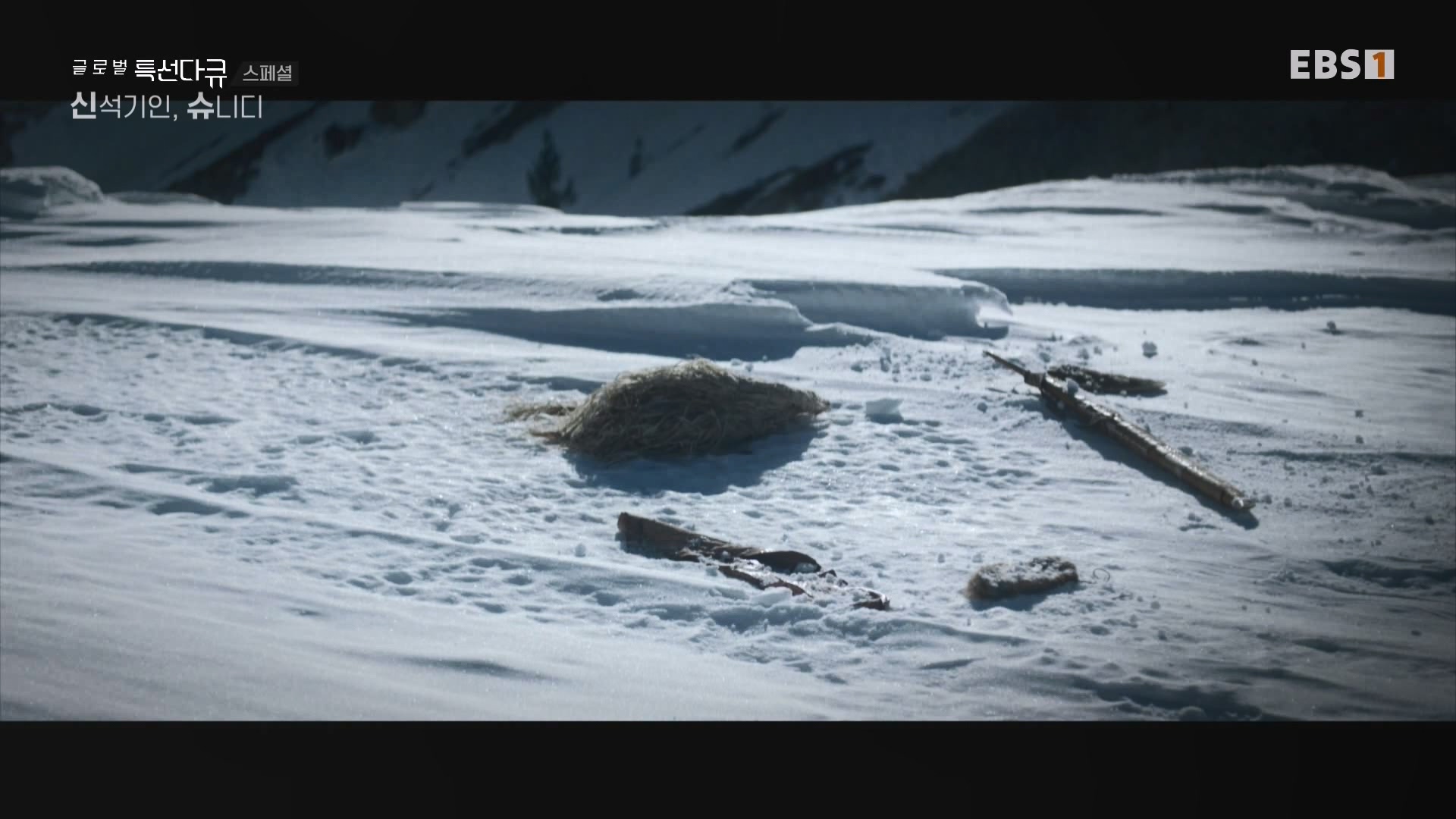 [다큐 스페셜] 신석기인, 슈니디.mp4_20230820_110541.317.jpg
