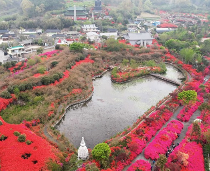 서부해당화축제