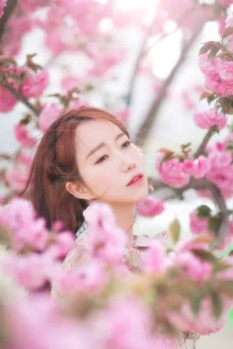 전국 겹벚꽃 명소 베스트 10 관광지_14