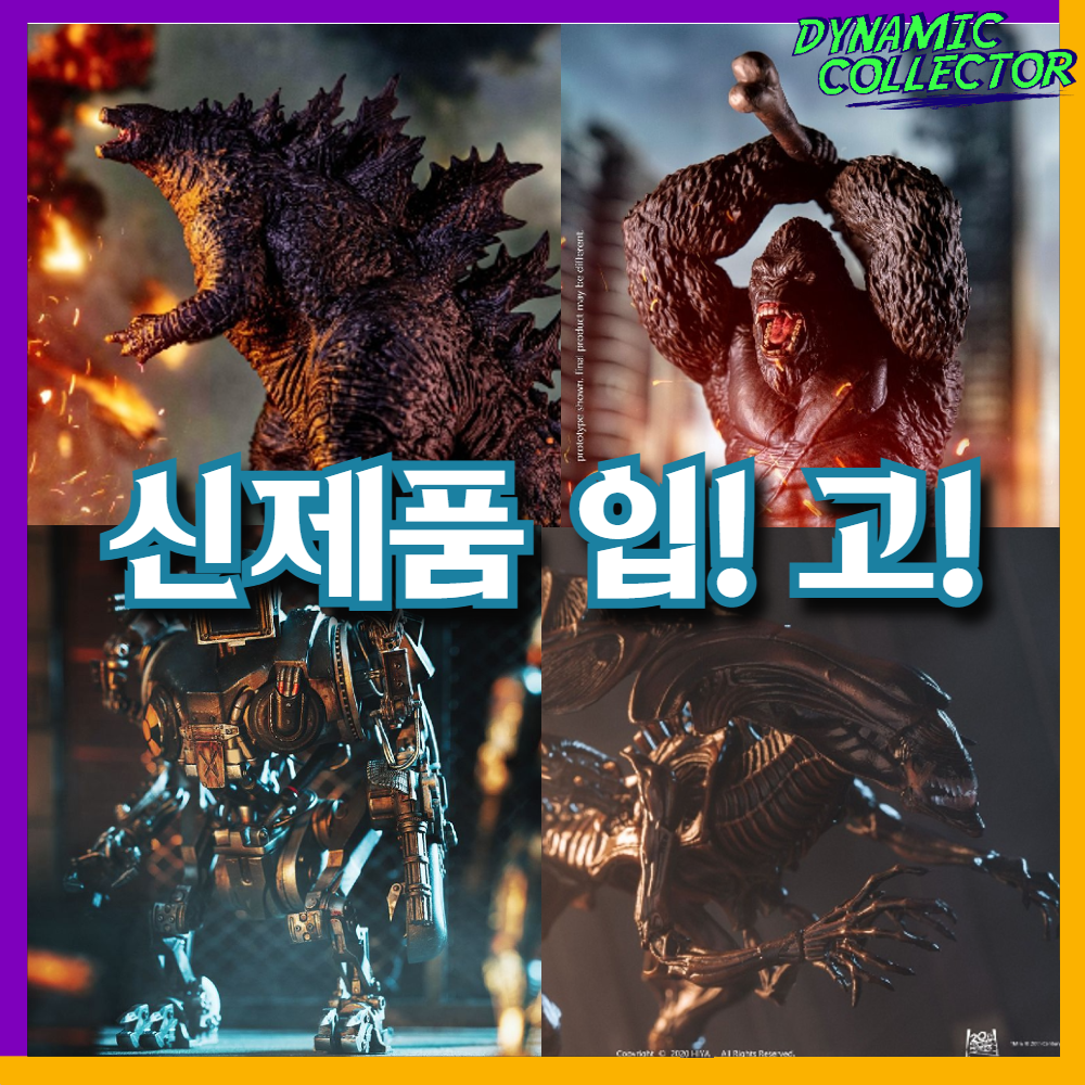  [다이나믹컬렉터] 8월 마지막차 입고제품!!