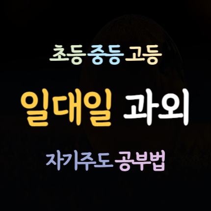  하소동 고등 영어과외 천남동 중학생 수학과외 초등 국어과외 내신 전문 중등 일대일 예비고 예비중
