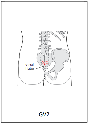 독맥 (GV) > GV2 요유[요수] (腰兪) 1