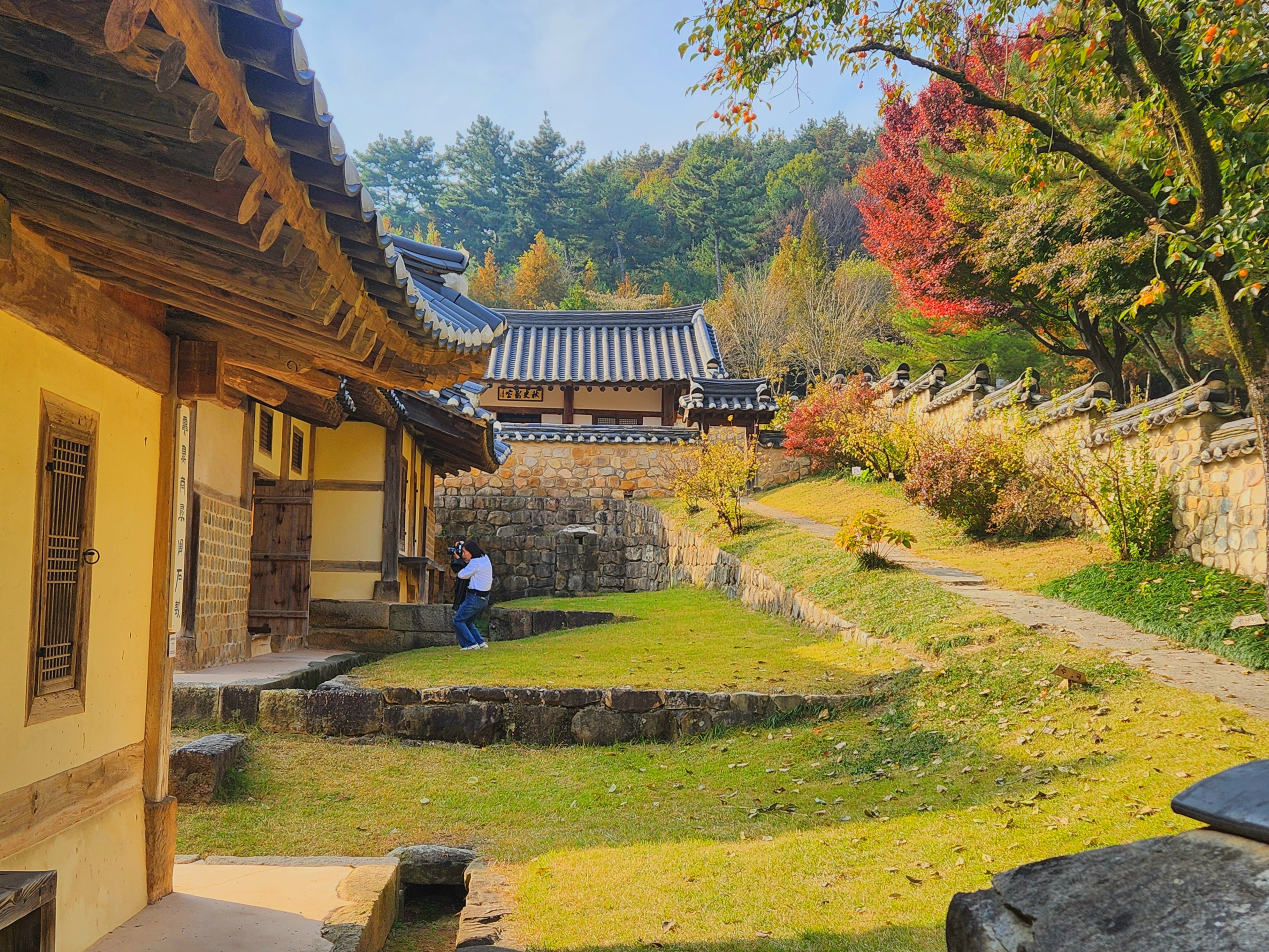 예산 가볼만한곳 단풍 명소 추사 김정희 선생 고택