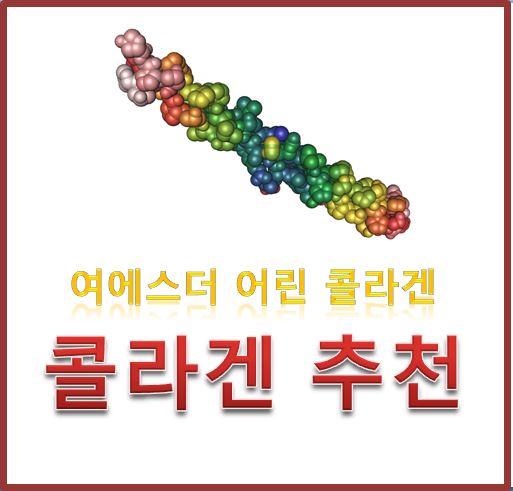  콜라겐 추천  여에스더 어린콜라겐