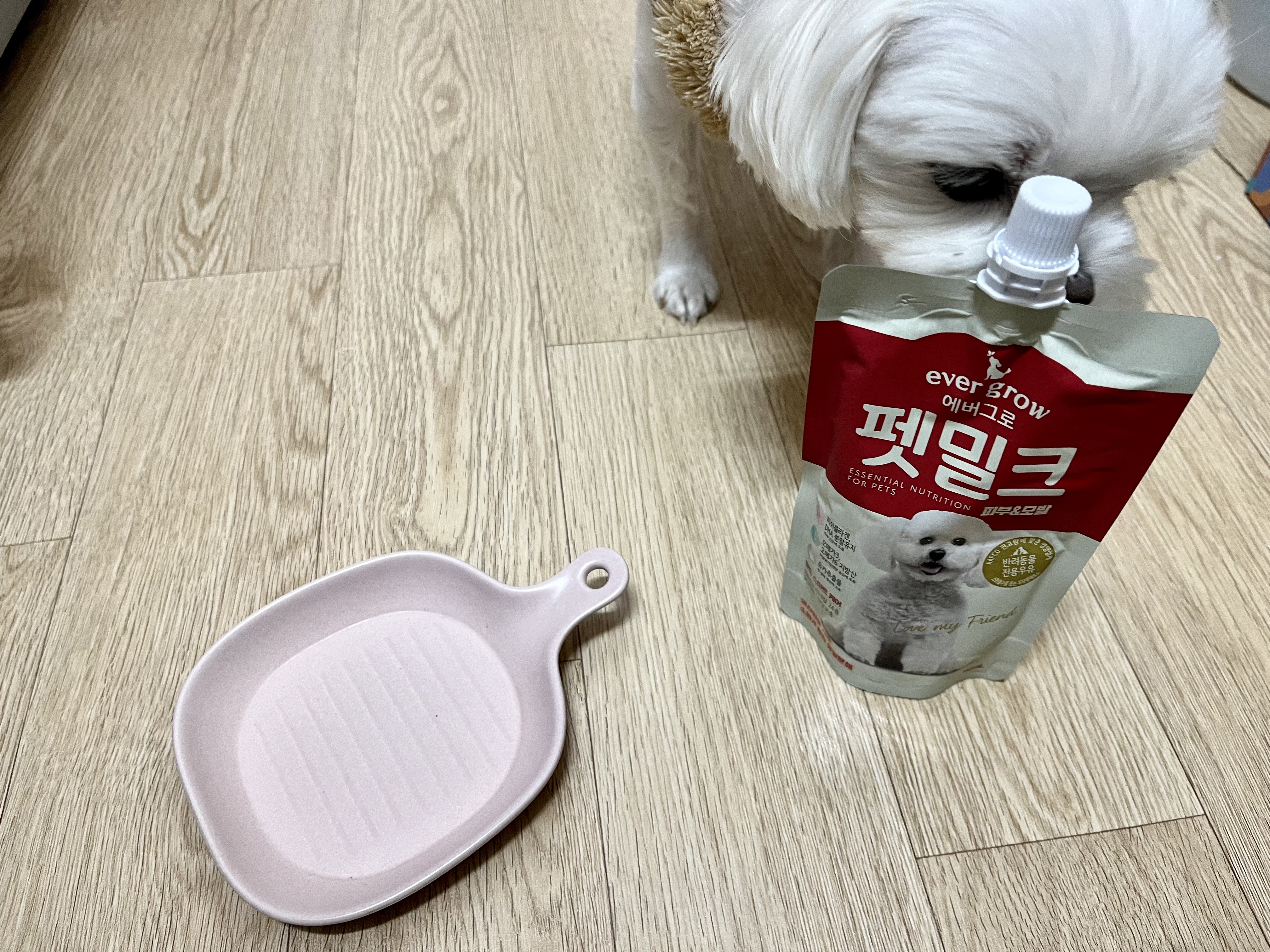 강아지 우유 추천