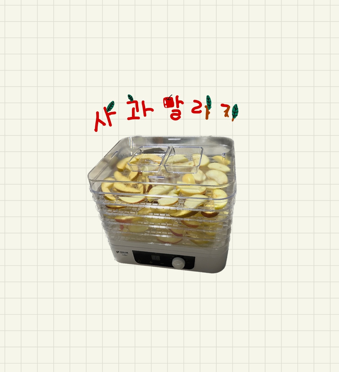  [사과] - 말린 과일 좋아하세요?