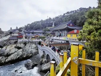 해동 용궁사 근처 맛집 입장료 둘레길 소요시간_2