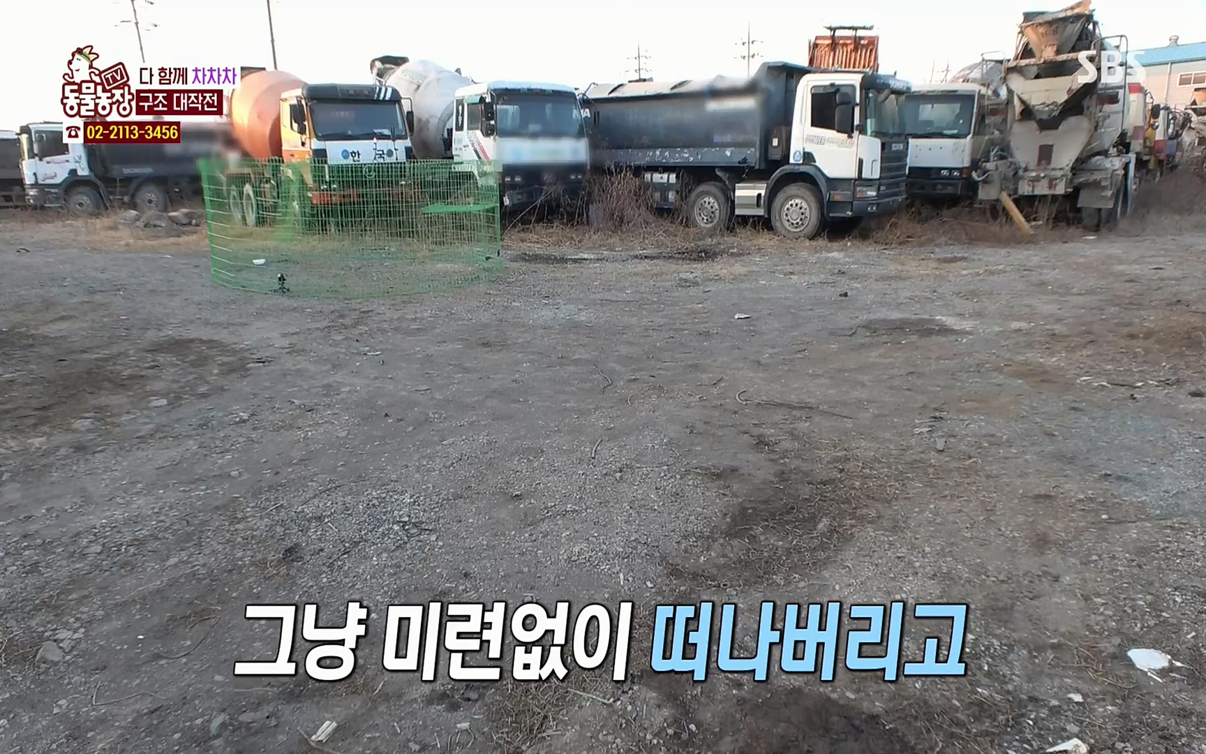TV 동물농장.E1063.220403p.H264-F1RST.mp4_20220403_175116.462.jpg