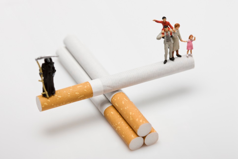 것들이 있을까? 게르마늄효능에는 어떤 8