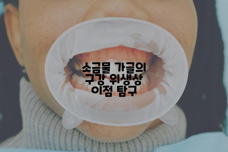 소금물 가글의 구강 위생상 이점 탐구