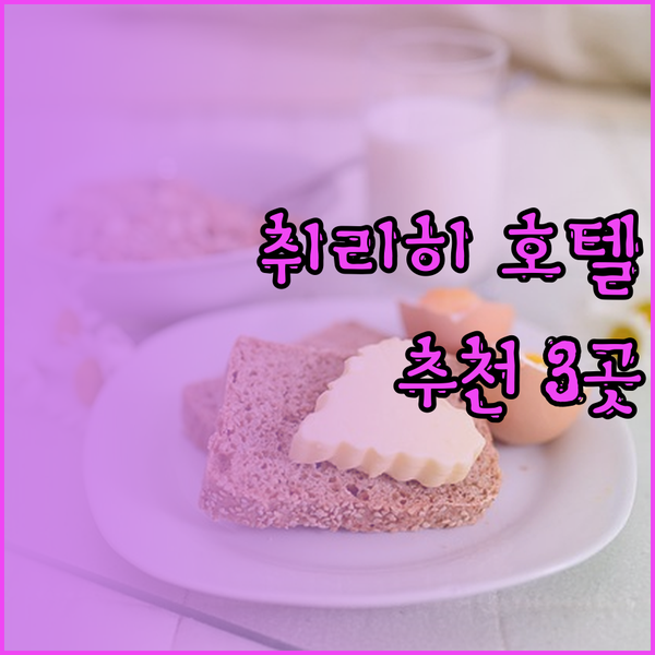 취리히 호텔 추천 세 곳 비교분석 완