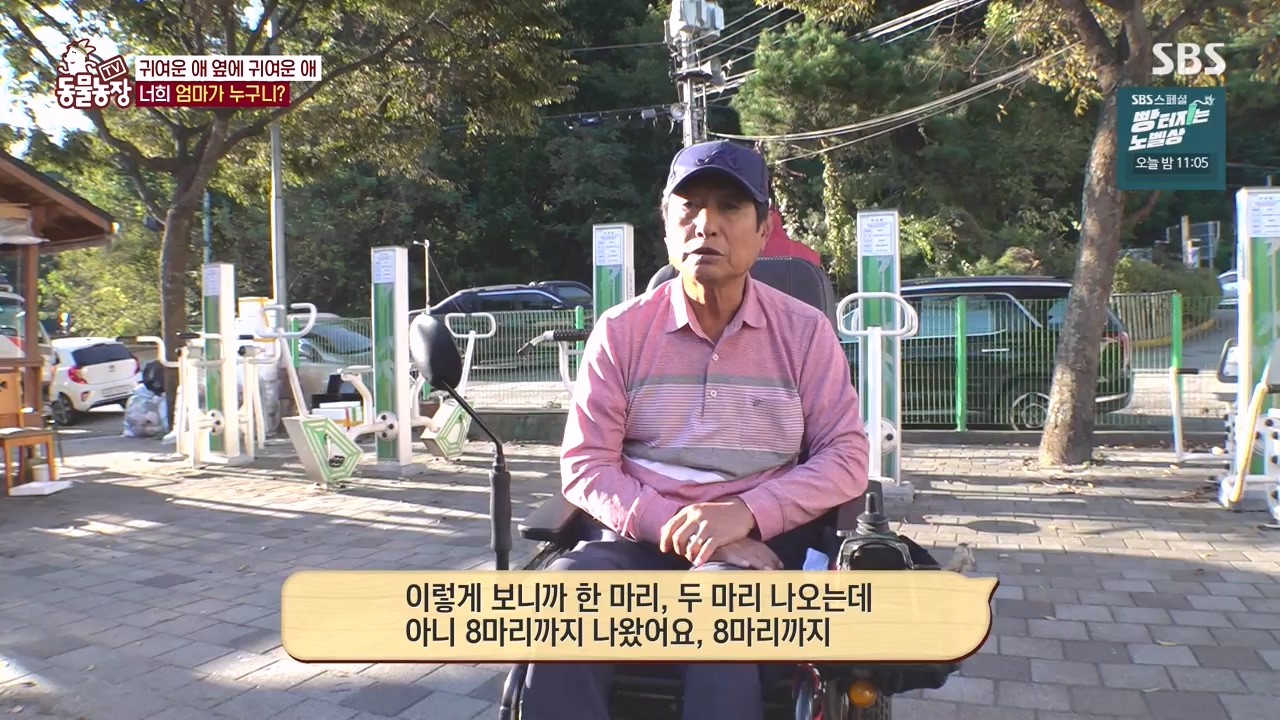 TV 동물농장.E1144.231106p-NEXT.mp4_20231105_175955.361.jpg