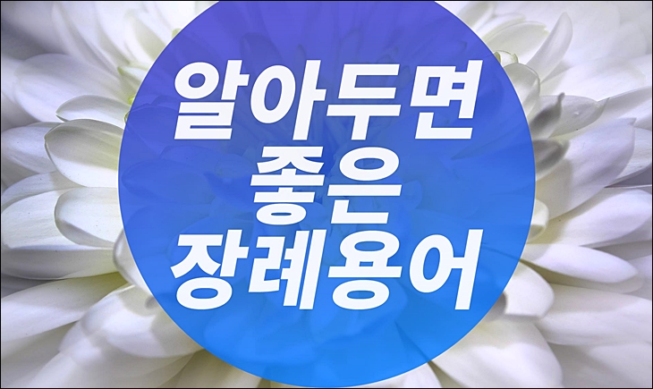 장례를아는사람 이미지
