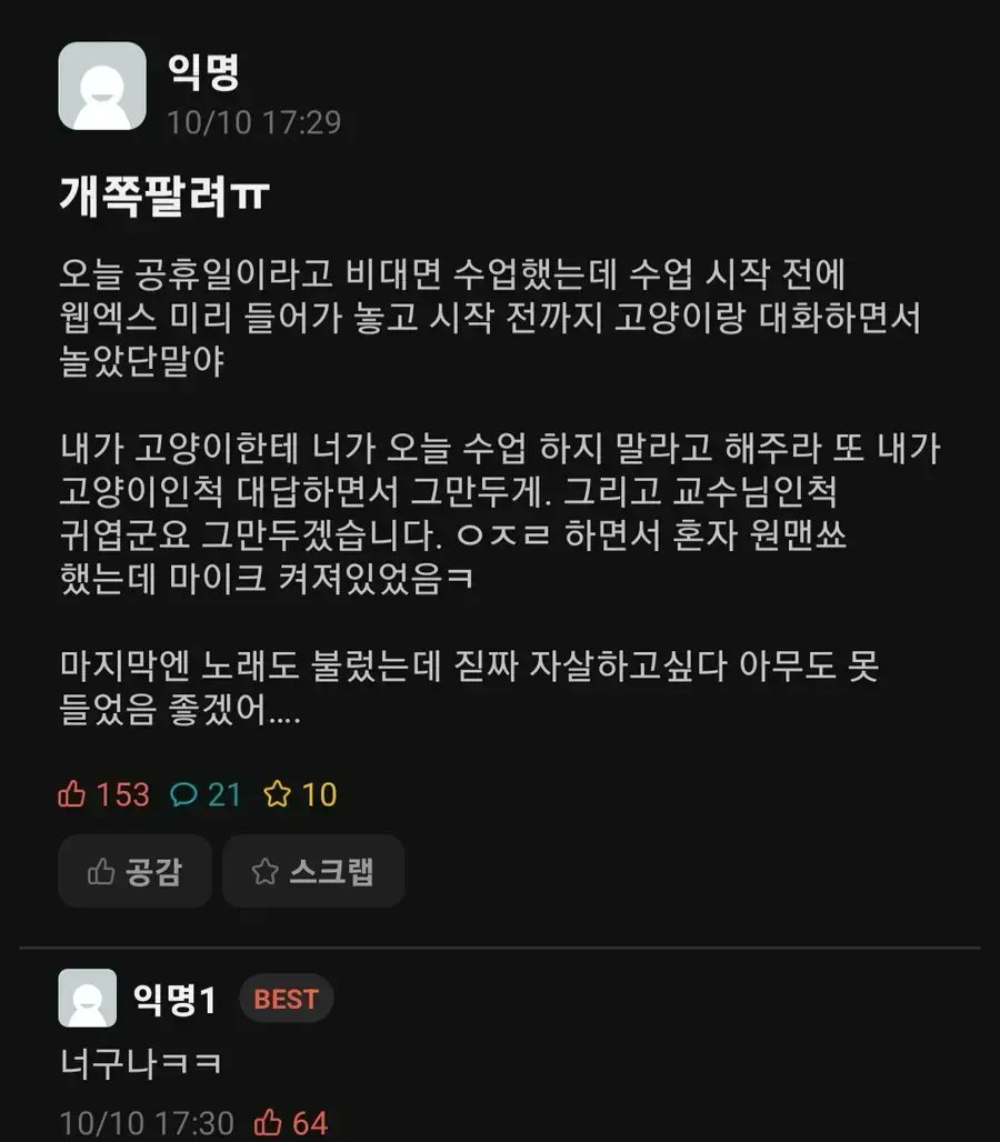 비대면 수업 시작전에 고양이랑 대화하면서 대기했는데
