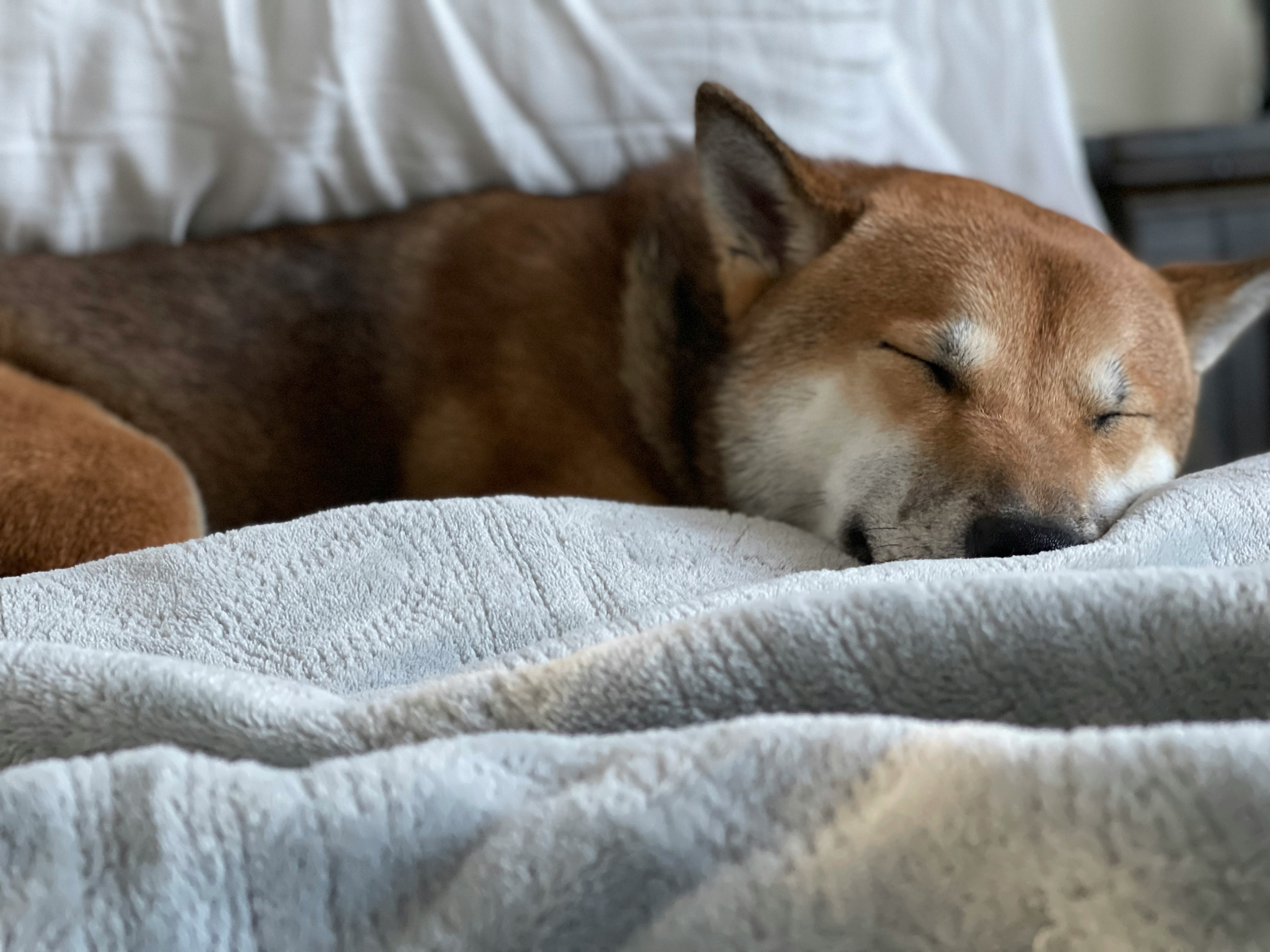 Sleeping with Proper Alignment for Posture