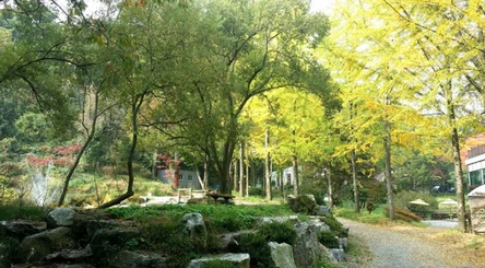 동천자연식물원 전경 사진
