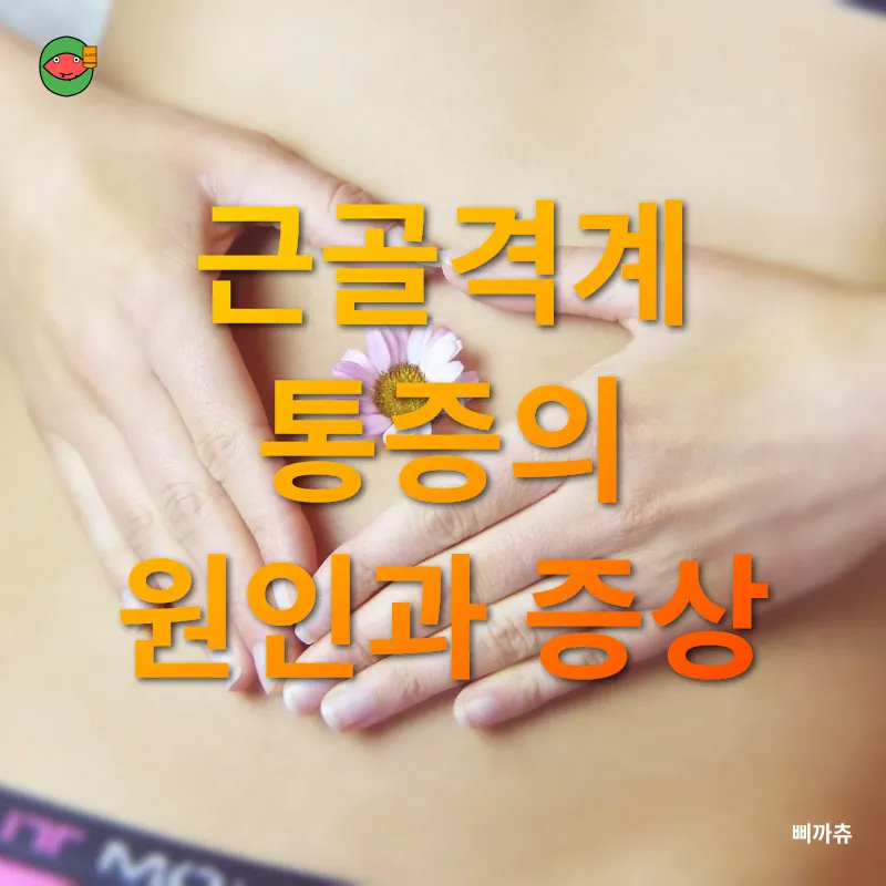 근골격계 통증 관리_1