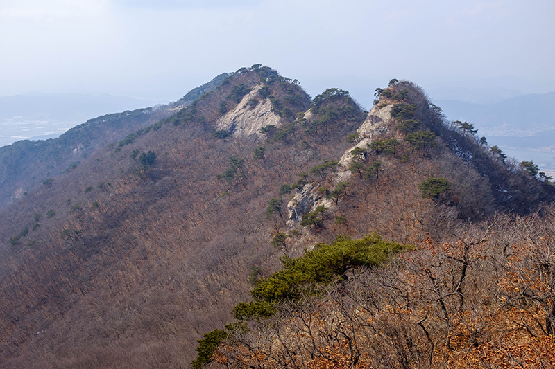 계룡산의 초봄 풍경. 문필봉 주변.