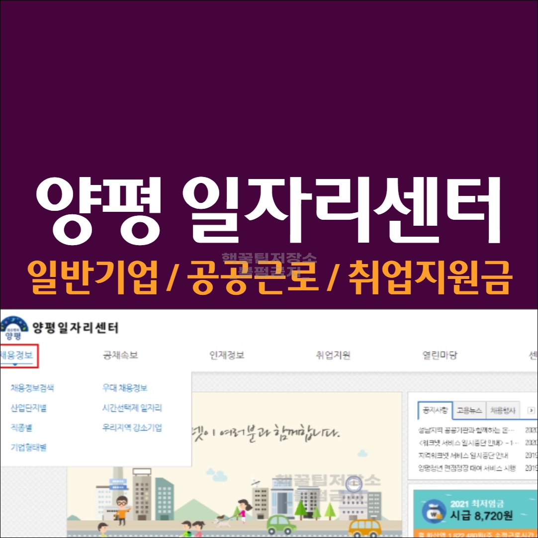 양평군청 일자리 센터 구인구직 정보