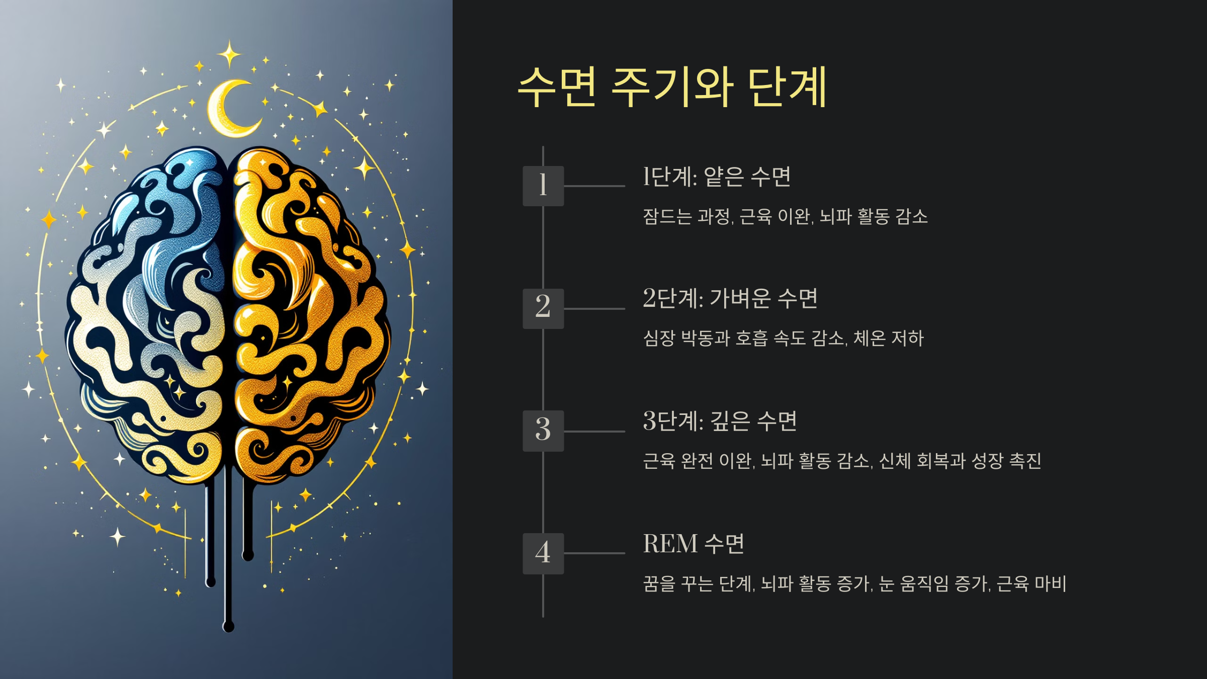 수면 주기와 단계